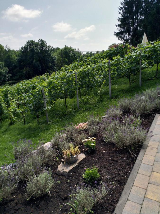 Casavitis Erholung Am Weinberg Apartman Lontzen Kültér fotó