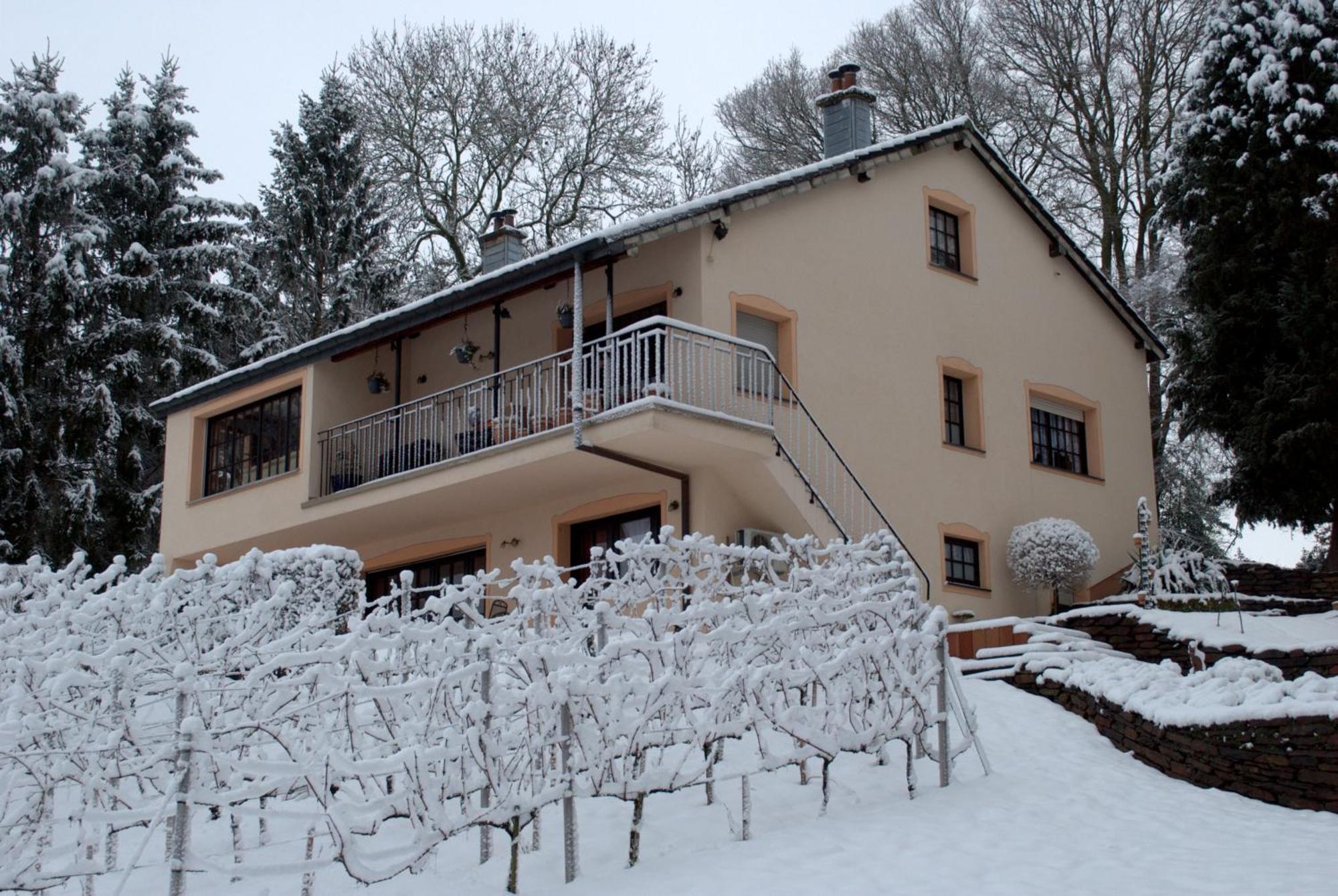Casavitis Erholung Am Weinberg Apartman Lontzen Kültér fotó